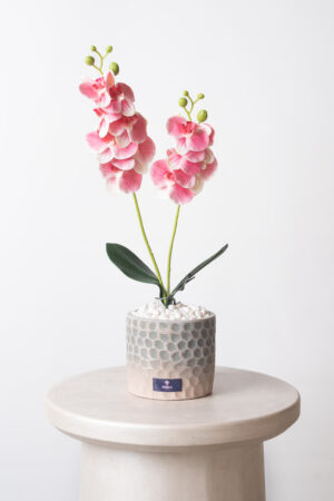 Orchidea Rosé - Artificial