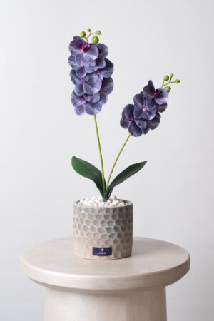 Orchidea Violet - Artificial